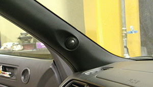 �z���_ ���W�F���h�@�{�肳��