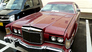 �����J�[���@�}�[�NIV