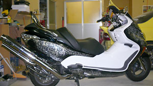 ���肳��@FORZA